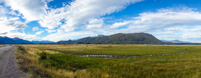 Scenic view of field against sky