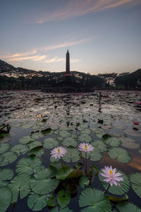 Scenic view of lake against sky during sunset