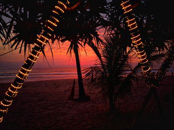 Silhouette palm tree by sea against sky during sunset