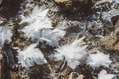 Frozen waterfall in winter