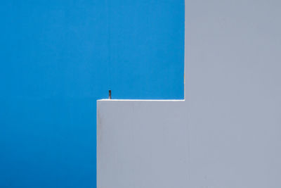 Low angle view of seagull perching on wall