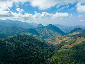 Aerial perspective rubber tree woodland, rubber tree and leaf plantation from above.