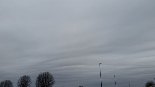 Low angle view of trees against cloudy sky