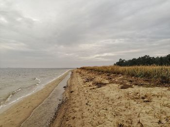 Scenic view of beach against sky