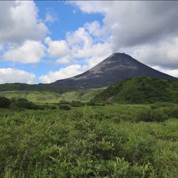 Scenic view of green landscape against sky