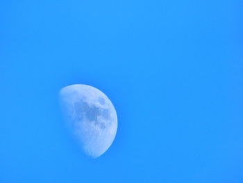 Low angle view of trees against blue sky