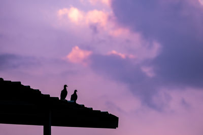 Low angle view of bird perching on roof against sky during sunset