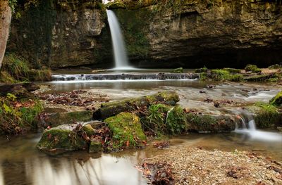 Scenic view of waterfall in forest