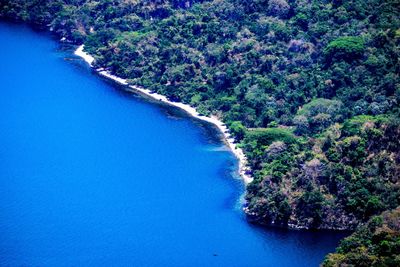 High angle view of water flowing in forest