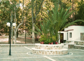 Empty pathway leading to building