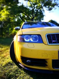 Close-up of yellow car