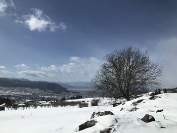 Snow covered field against sky