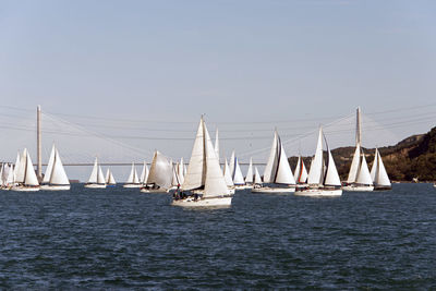 Sailing boats and yachts in bosporus cup in istanbul, turkey