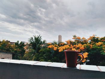 Table against trees in city against sky