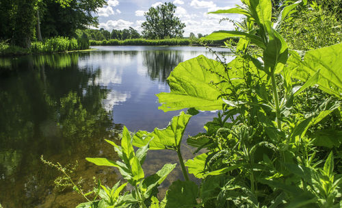 Scenic view of lake against sky