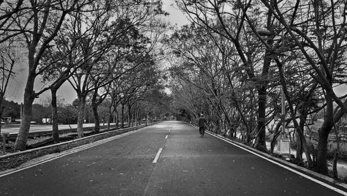 Road amidst trees against sky