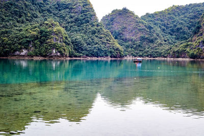 Scenic view of lake by trees in forest