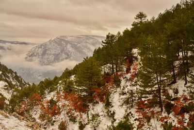 Scenic view of tree mountains against sky