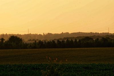 Scenic view of field against sky during sunset