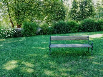 Bench in park