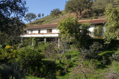 House and trees in forest against sky