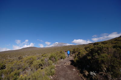 Rear view of man walking on mountain against blue sky