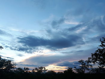 Low angle view of silhouette trees against sky