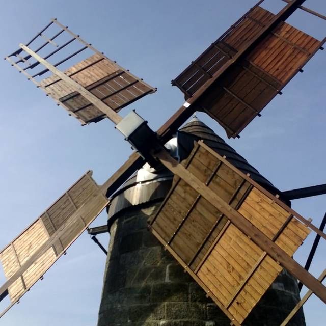 LOW ANGLE VIEW OF WINDMILL