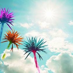 Low angle view of flowering plant against sky on sunny day