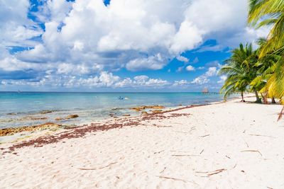 Scenic view of beach against sky