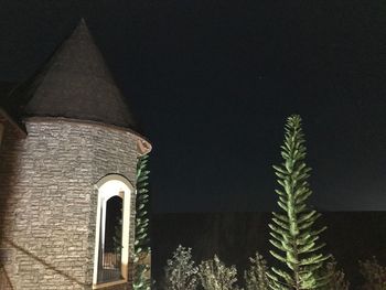 Low angle view of trees against sky at night