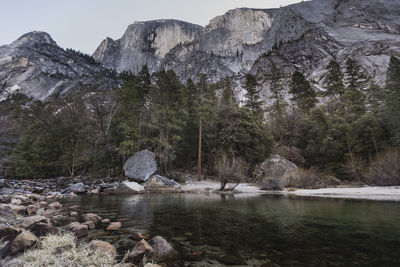 Early morning in yosemite national park on the merced river