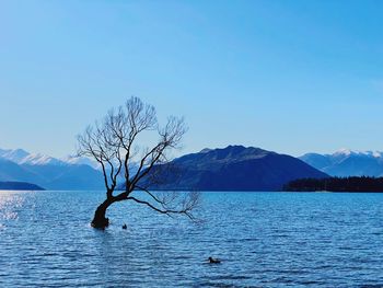 Scenic view of lake against blue sky