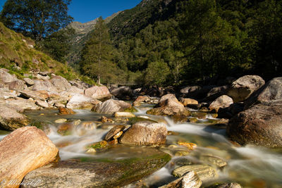 Stream flowing through rocks in forest