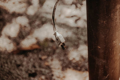 Close-up of an abandoned hanging on metal wall