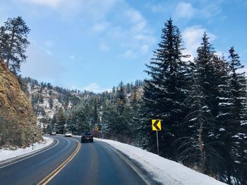 Road amidst trees against sky during winter