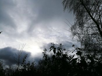 Low angle view of silhouette trees against sky