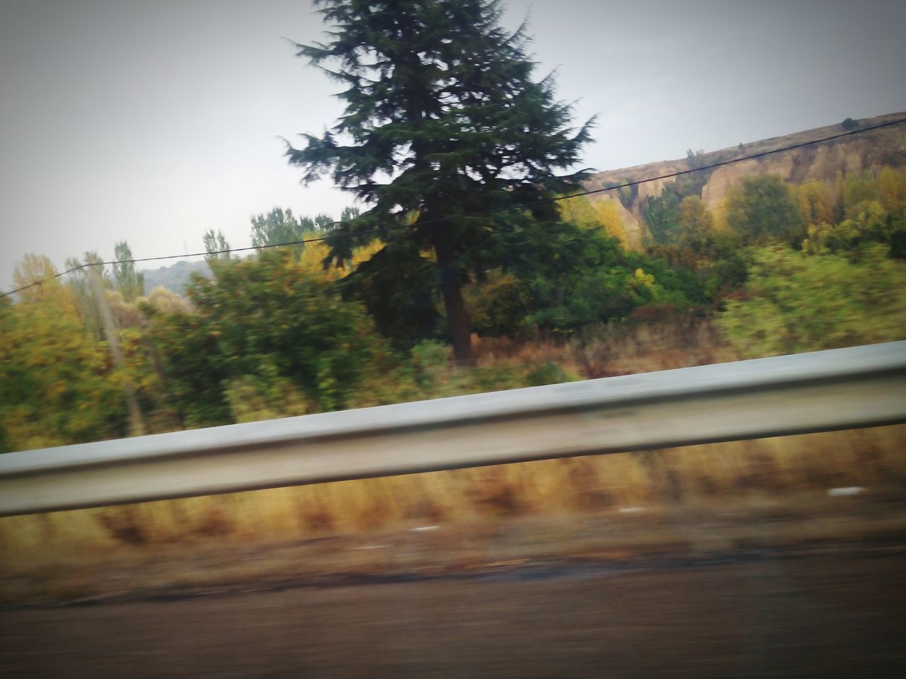 VIEW OF TREES BY COUNTRYSIDE LANDSCAPE