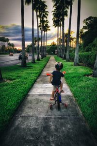 Footpath in park