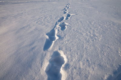 Traces of the person leaving on distance, on a white snow glade in the winter.