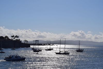 Sailboats moored on sea against sky