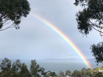 Scenic view of rainbow over trees against sky