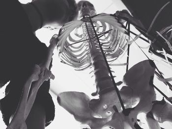 Low angle view of tree against sky