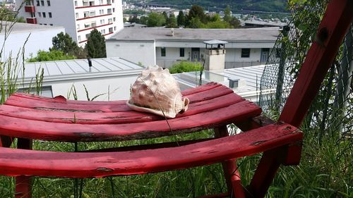 High angle view of an animal on table in yard