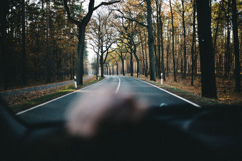 Road amidst trees seen through car windshield