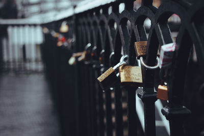 Close-up of wine bottles