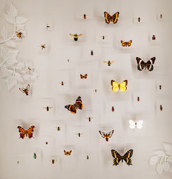 Directly above shot of christmas decorations on white background