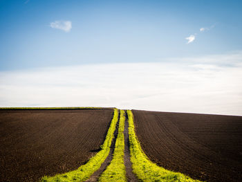 Scenic view of agricultural field against sky