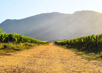 Scenic view of landscape against clear sky