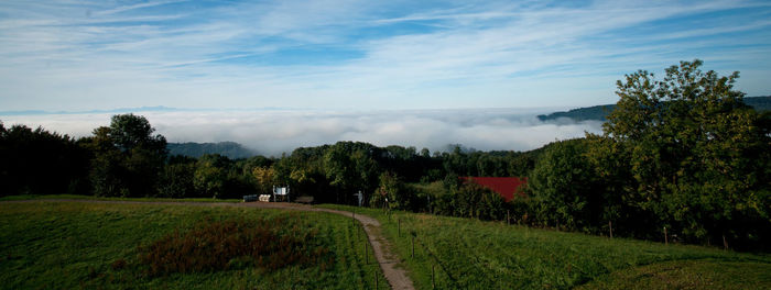 Scenic view of field against cloudy sky